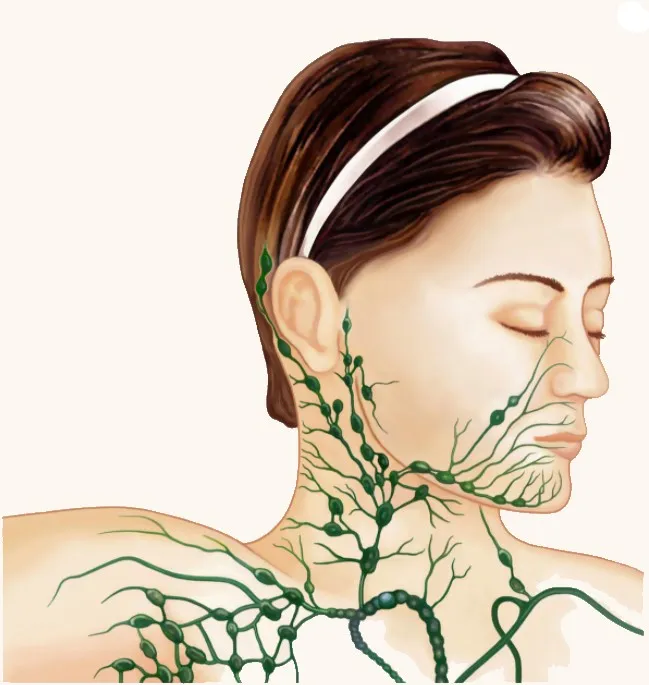 Lenf Sistemi ve Bağışıklık Atölyesi | Wellbeing Yoga ile Hareket, Nefes ve Yenilenme